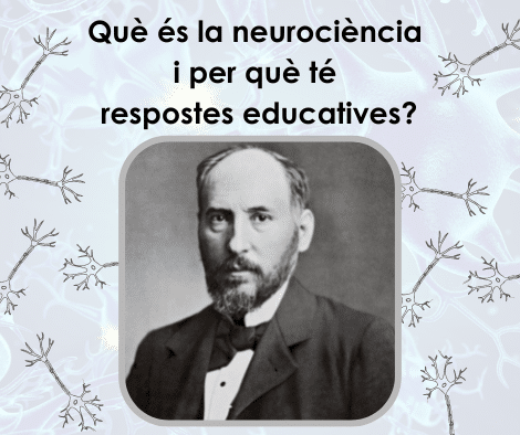 Read more about the article Què és la neurociència i per què té respostes educatives?