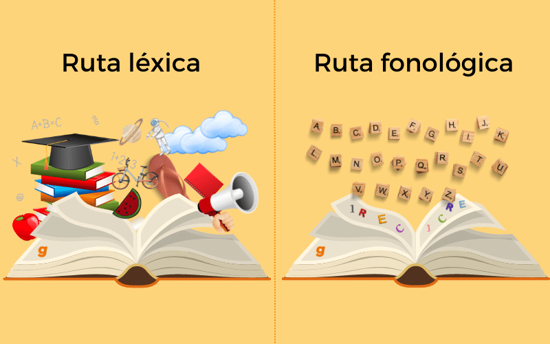 Read more about the article Modelos de enseñanza de la lectura: ¿global o analítico?