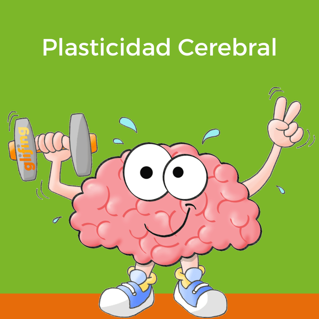 Plasticidad Cerebral