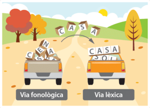 Via fonològica i via lèxica